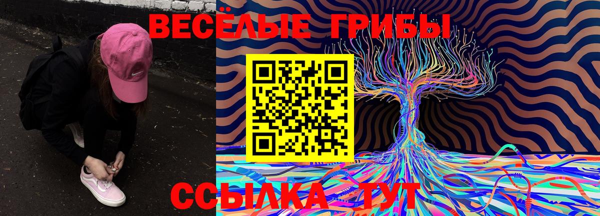 Псилоцибиновые грибы GOLDEN TEACHER  Вход с VPN  Галлюциногенные грибы Cubensis  Камышлов 