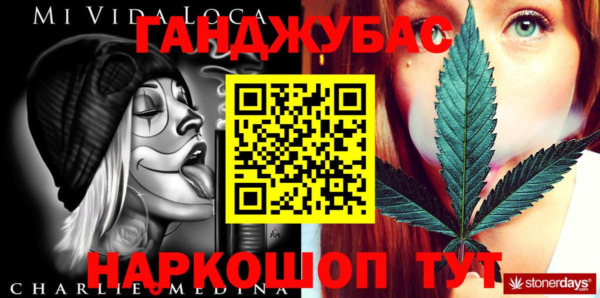 Бошки Шишки планчик Камышлов